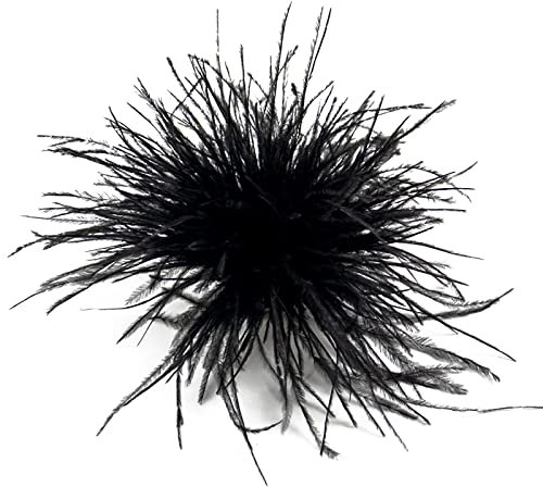 COSSIKA Brosche, Schwarz, Feder, Klassisch, Unisex