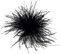 COSSIKA Brosche, Schwarz, Feder, Klassisch, Unisex