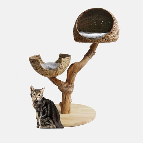 Luxurious Cat Tree with Two Beds and Hooded Hideaway