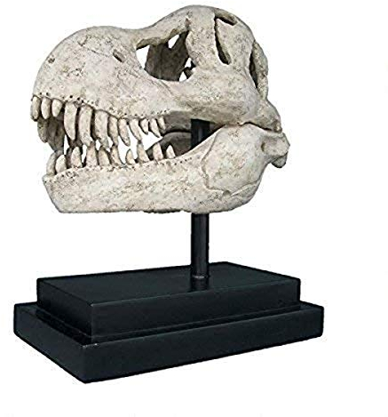 Design Toscano T-Rex, Dinosaurier-Fossilschädel Statue auf Museums-Pin