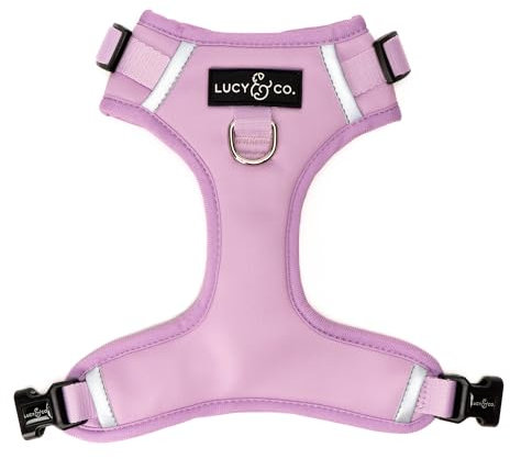 Lucy & Co. Niedliches wendbares Hundegeschirr zum Spazierengehen – beste Designer-Haustiergeschirre für XS – XL Hunde – gepolsterte, verstellbare Weste für einfaches Gehen (XS, minzgrün, blau, Fisch