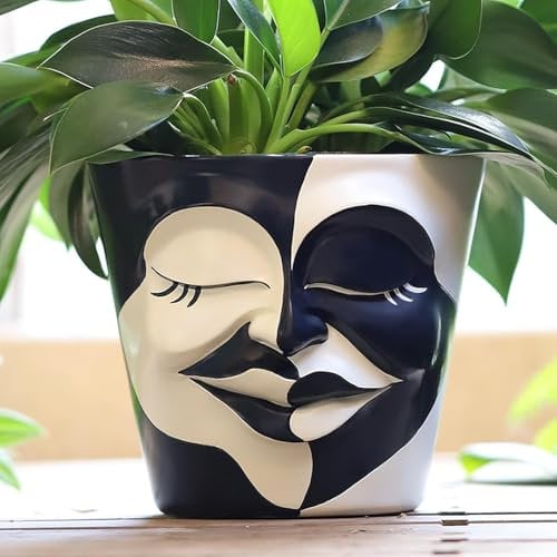 AmiCera Pot de fleurs avec visage et drainage - Cache-pots pour plantes d'intérieur - Petit vase de bureau - Cadeau pour les amateurs de plantes (bicolore noir et blanc, 14 cm)