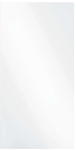 vidaXL Wandspiegel Rechtwinklig 50 x 100 cm Gehärtetes Glas