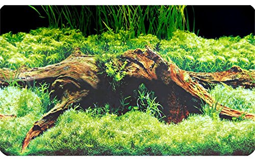 Hobby 31011 Fotorückwand Zuschnitt Spring/Moss, SB