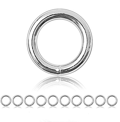 Ganzoo O-Ring Metall für Hunde-Leine, 25mm Innen-Durchmesser, 10 Stück, Stahlring, legierter Stahl, Nicht rostend, Rund-Ringe für Paracord 550 Halsband, Handtasche, Metallring, Basteln, Farbe Silber