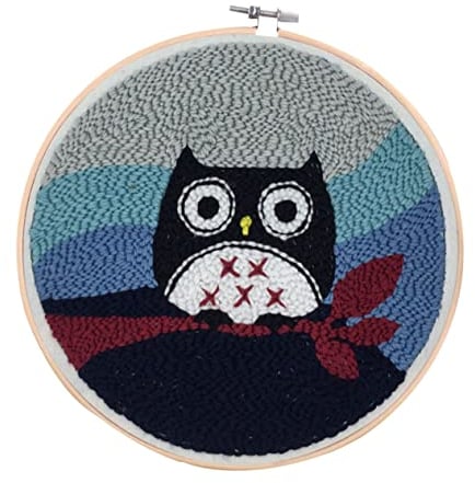 Operitacx Owl Punch Embroidery Kit Für Anfänger Mit Schere Und Zubehör Kreatives Bastelset Für Erwachsene Cartoon Eule Muster
