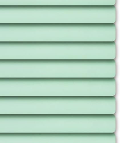 HUHJYUGE Aluminium Jalousie Innen, Jalousie Ohne Bohren, Verdunkelungs Venezianische Jalousette, 25mm Lamellen Metall Horizontal Fenster Jalousien, Sonnenschutz Wärmeschutz (Green 90x160cm)