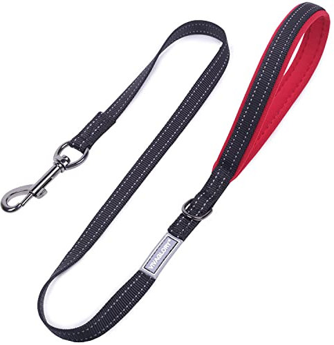 VIVAGLORY Hundeleine, Hundeleine für Spaziergänge mit Bequemer Neopren Gepolsterter Griff, Schwerlast Trainingsleine für Kleine bis Mittlere Hunde