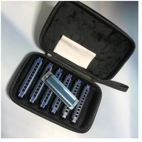 10-Loch Blues Harp Diatonische Mundharmonika 7-teiliges Set Exquisites modisches Musikinstrument