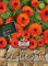 Sperli Semi di calendula Neon 86415 – Il seme perfetto per fiori recisi dai colori intensi.