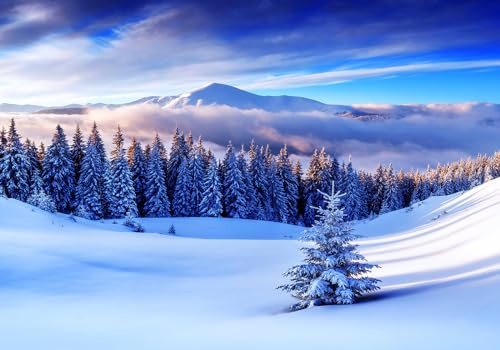 Wesmilewallpaper Papier Peint Panoramique Hivernal Montagne Forêt 350X245cm | Bleu Paysages Naturels Enneigée Sapins Tons Froids Ciel Moderne Intissé Soie Murale Poster Décoration Chambre Salon Et Séjour