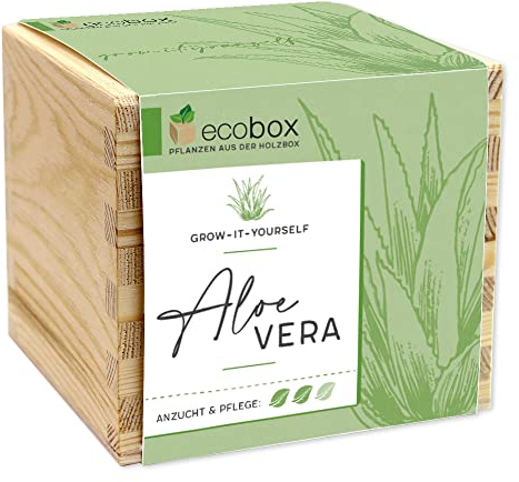ecobox, Aloe Vera, Pflanzen Aus Der Holzbox 11x11x10cm, Made in Austria, Nachhaltige Geschenkidee, Grow Your Own/Anzuchtset