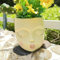 EylbKey Pot de fleurs en forme de visage, pot de fleurs pour cactus, pots de fleurs pour plantes, plantes grasses, pot de fleurs pour visage, pots de fleurs pour intérieur et extérieur, baiser, jaune