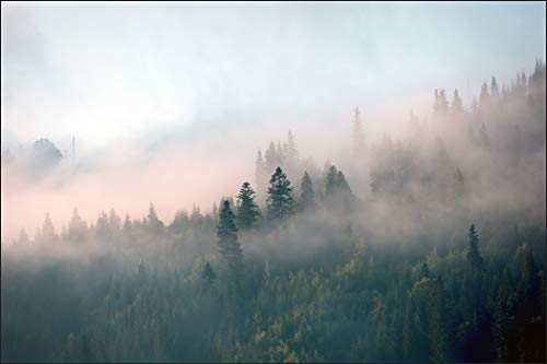Muralo Fototapete Wald im Nebel 300 x 450 cm Vlies Tapete Wandtapeten Bäume Wohnzimmer Schlafzimmer Moderne Wandbilder XXL Landschaft Panorama Wand Dekoration