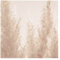 Fototapete - Goldenes Pampasgras Close Up, Material: Vlies Smart, Größe HxB: 192x192 cm
