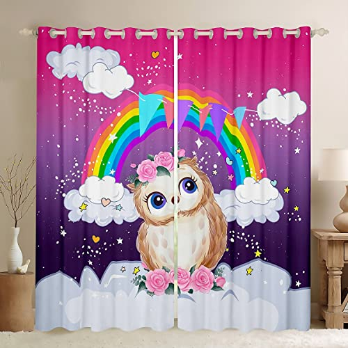 Homewish Nette Eule Vorhänge für Kinder Mädchen Verdunkelungsvorhänge 140BX245L Zoll, Regenbogen Wolken Vorhänge für Vorhänge, Cartoon Tier Aquarell Rose Blume Sterne Fenster Vorhänge 2 Panels