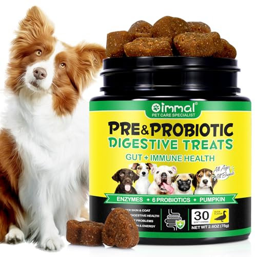 Probiotics for Dogs, Dog Digestive Health Gut,30 Probiotic Chews with Digestive Enzymes for Immune Bowel Support, Gut Flora, Allergy Itch Relief, Reduce Diarrhea, Gas, Bad Breath (30 Chews)