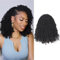 8 Inch 8 PCS Yanky Twist Crochet Braids Hair 8 Packs (30 Strands/Pcs) Pre-twisted Senegalese Twist Braids with Curls Synthetic Hair Extension Bouncy Spring Twist Crochet Hair for Black Women（1B）