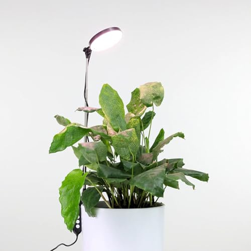 Mossify LED Grow Lights for Indoor Plants Full Spectrum – Adjustable Height (8”-28”), Dimmable Brightness, Programmable Timer, Long Lifespan – Ideal Grow Lights for Healthy Plant & Houseplants (White)