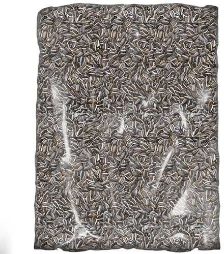 SQUAWK Gestreifte Sonnenblumenkerne - Premium große Kerne für Wildvögel - Ideal für Futterstellen und die Ernährung von Vögeln im Freien.