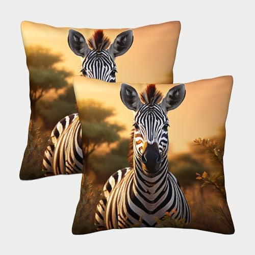 TNFHSOFT Zebra Kissenbezug 2er Set Kissenbezüge Wohnzimmer Kissenhülle Couchkissen Waschbar Kopfkissenbezug Für Sofa Stuhl Bett Garten Zierkissen 50x50cm