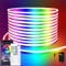 segrass Flexible LED neon Lights Strip 10M 24v RGB with Remote,APP Control, IP65 Waterproof for Bedroom,Room,Outdoors Decor