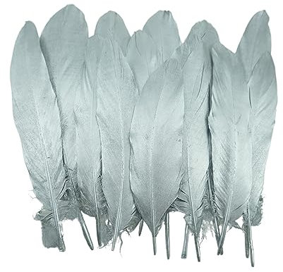 Suneast 50 Stücke Federn Dekoration Natürliche Gänsefedern Weiche Crafts Feather Indianer Federn für Traumfänger Basteln, Kostüme Hüte Schmuck Deko, DIY Ohrring - Silber, 15-20cm
