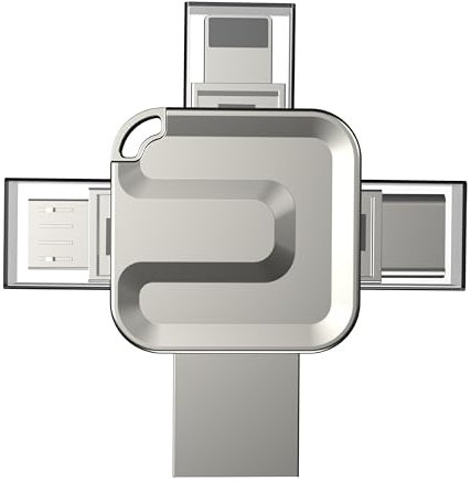 Clé USB STORITE 256 Go 4 en 1 Haute Vitesse, clé USB de Stockage Externe en métal, clé USB pour idevices, Android, Ordinateur Portable, Tablette, PC, Ordinateur (Argent)