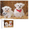 Maltese Dog 1000 Piece Cute Pet Animal Puzzles for Adults, Teens & Kids - Wooden Jigsaw Puzzle, Fun Game & Home Decoration