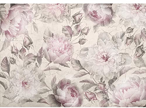 Runa Art Fototapete Blumen Pfingstrosen Betonwand 352 x 250 cm Vlies Tapeten XXL Moderne Wandtapete Wohnzimmer Schlafzimmer Grau 9416011b