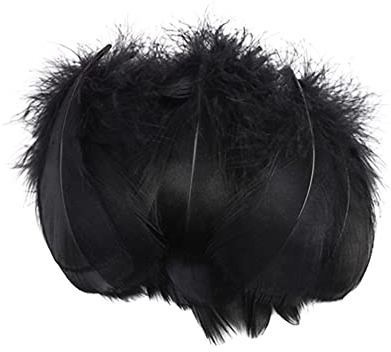 Pamtns 100 Stück Bastelfedern Schwarz Federn zum Basteln Schwarz Federn 8-12 cm DIY Deko Federn DIY Handwerk Zubehör für Hochzeitsdekoration Dream Catcher Kostüme Ohrringe Zuhause Dekor