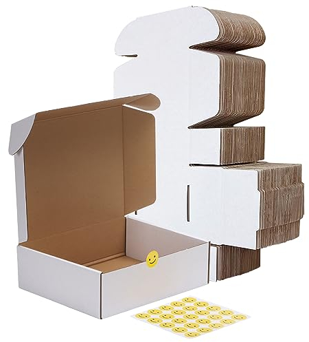RLAVBL 25,4 × 20,32 × 7,62 cm Versandkartons 25 Stück weiß Wellpappe Karton Versandkarton Verpackung Versand Business