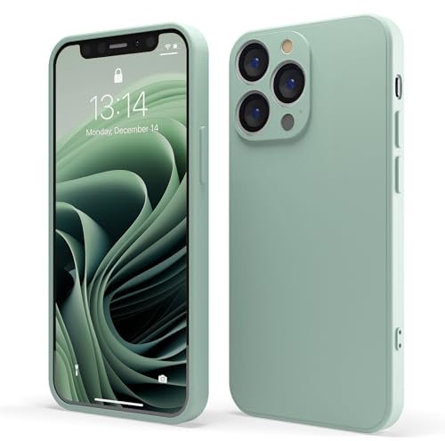 Red Ember Coque de protection antichoc pour iPhone, ultra fine en silicone liquide avec finition mate et doublure en microfibre douce anti-rayures (sauge, iPhone 15 Pro)