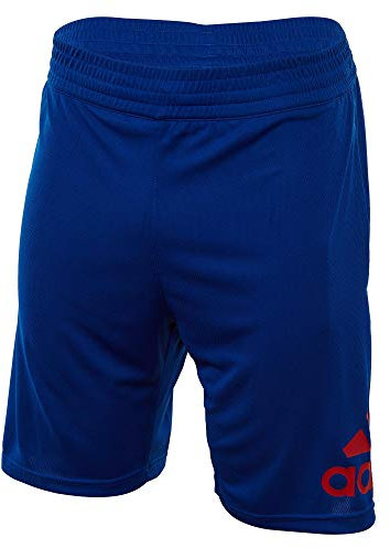 adidas – Scarpe da Basket Crazylight grafiche 2-in-1 Shorts, Collegiate Royal/Tech Grey, Medium