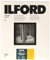 Ilford 1772018 MG IV RC 25 18X24 Druckerpapier