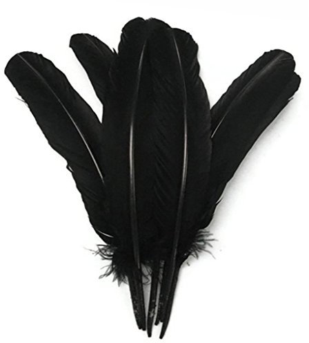 ERGEOB 20 stück Truthahnfedern basteln federn Bogen federn ERGEOB 20-30cm schwarz
