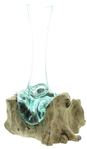 FRANK FLECHTWAREN Vase Wurzelholz, hoch, jedes Stück EIN Unikat Maße: ca. Höhe 30 cm, Glasvase Ø 6 cm