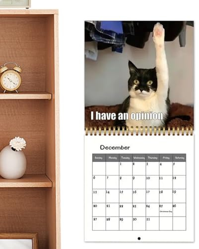 Niedlicher Katzenkalender 2026, Wandkalender, 12 Monate, für Urlaub, Erwachsene, Freunde, Familie, Kinder, Neujahr, Weihnachten, Halloween