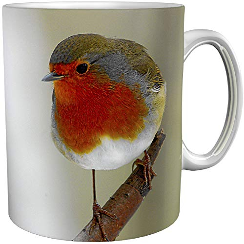 Tasse de café/Tasse de Photo/Rouge-gorge/Tasse de cadeau