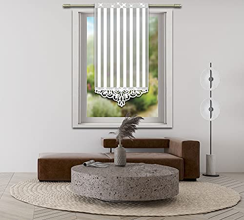 Inox Trade Exklusive Vorhänge Fertiggardine Voile Paneel 60x120cm mit Zirkonia