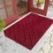 Biscpro Fußmatte Innen Außen Waschbar eingangsteppich innen Schmutzfangmatte rutschfest,Türmatte Innen Teppich für Eingang, Patio, Flur, Garten, Innen und Außen (Rot, 80 x 120 cm)