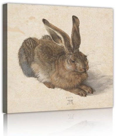 TOANGWALL Albrecht düRer Leinwanddrucke Wandbilder Berühmtes Gemälde Junger Hase Poster Berühmte Gemälde Kunstwerk für Schlafzimmer Wohnzimmer Dekor 44x44cm Innenrahmen