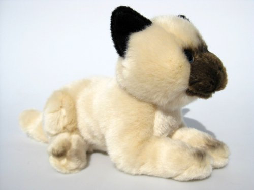 Unbekannt Plüschtier Katze Siamkatze - beige - liegend - 22 cm