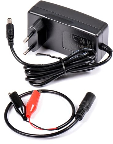 AFTERTECH Chargeur de Batterie 12 V (12,6 V) 3 A pour Batteries Li-ION Lithium Pile Chargeur Chargeur M8G1