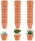 ZDNT 30 Pièces Pots en Terre Cuite 3cm Pot De Fleur en Terre Cuite Mini Pot Terre Cuite Petite Terre Cuite Pots avec Trou de Drainage pour Cactus Intérieur Extérieur Plantes Maison Succulentes