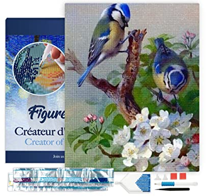 Figured'Art Diamond Painting Erwachsene 40x50cm Mit Rahmen Ganze Leinwand gespannt Blaumeise auf Ast 5D Bilder Eckige Steine - DIY Set Basteln