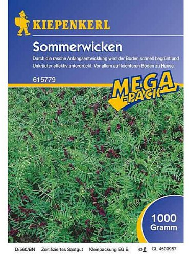 Sommerwicken,