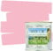 Shabby Chic Chalk Based Garden Paint 100ml (Petal Pink)