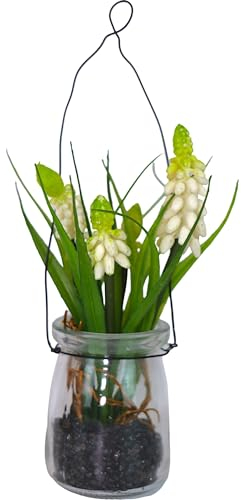 Florissima Weiße Muscari/Traubenhyazinte im Glas zum Hängen 19cm, 2 St.