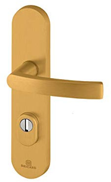 Bricard 9900131 Ensemble de Poignées Blindées sur Plaque Essential Béquille + Béquille pour Porte d’entrée (pour Cylindre Européen), coloris Or